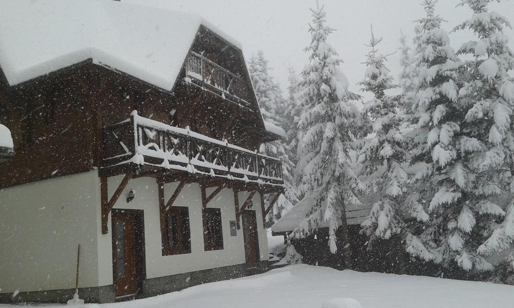 Apartments Vila Zubovic Kopaonik Exterior photo