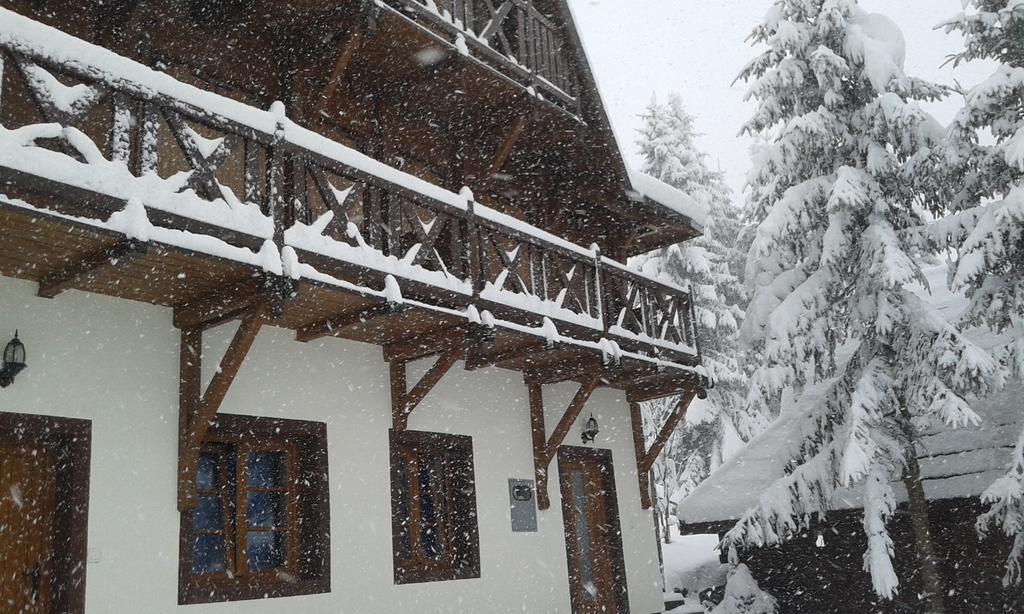 Apartments Vila Zubovic Kopaonik Exterior photo