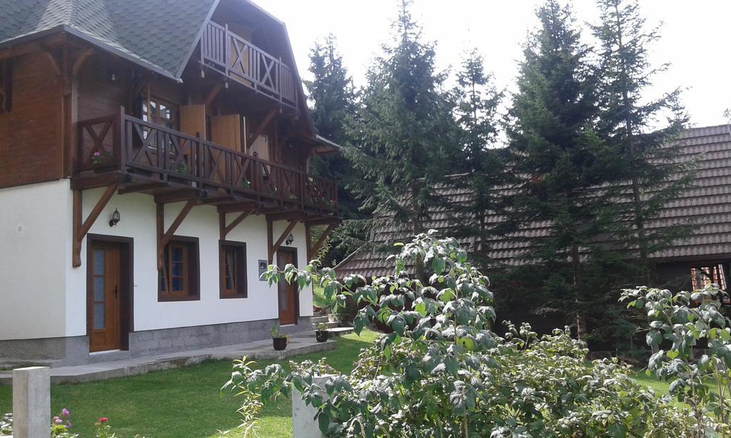 Apartments Vila Zubovic Kopaonik Exterior photo