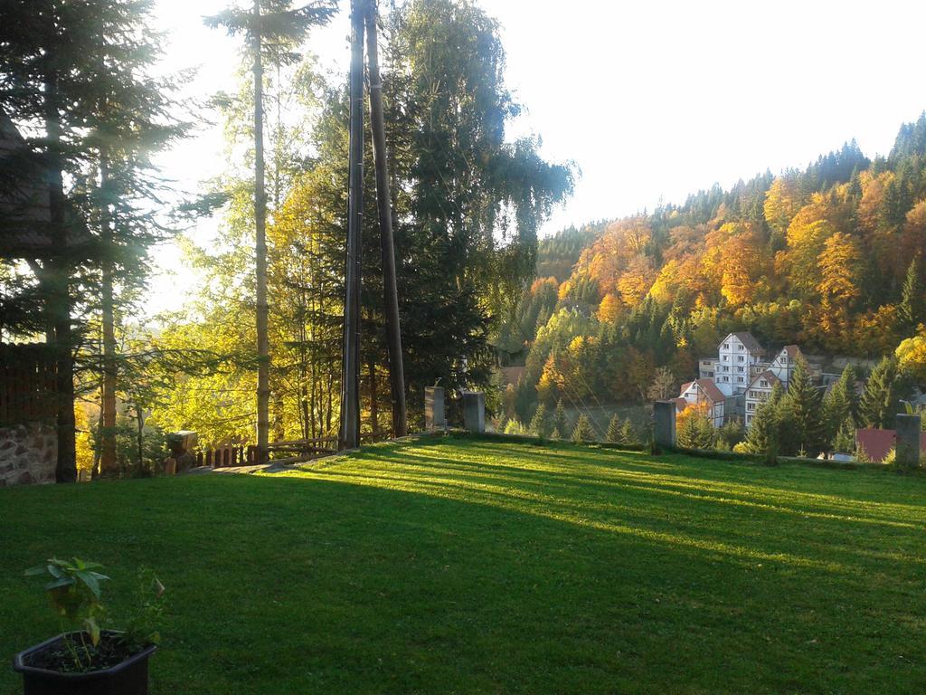 Apartments Vila Zubovic Kopaonik Exterior photo