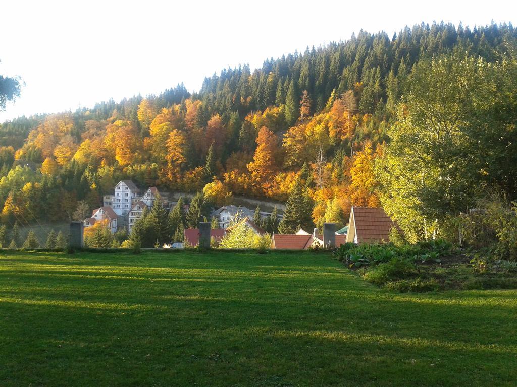 Apartments Vila Zubovic Kopaonik Exterior photo